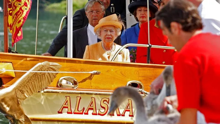 De Queen laat haar zwanen weer eens tellen