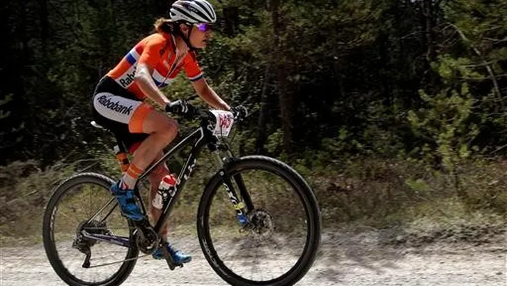 Gebroken rib voor Vos