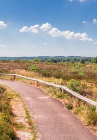 natuur sallandse heuvelrug