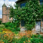 cottage gardens