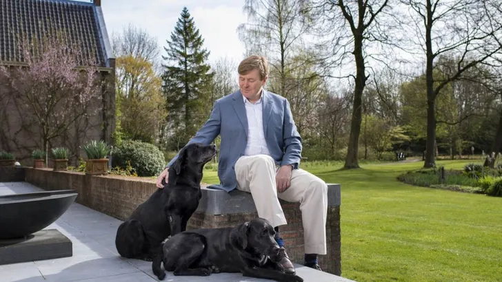 Schattige gezinsuitbreiding voor de Oranjes!