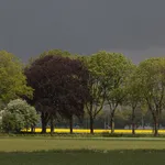 Essen in het Waddenlandschap