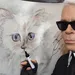 Kat Karl Lagerfeld reageert op dood baasje