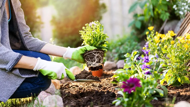 Mooie tuin met hooikoorts. – Foto van tuinierende vrouw