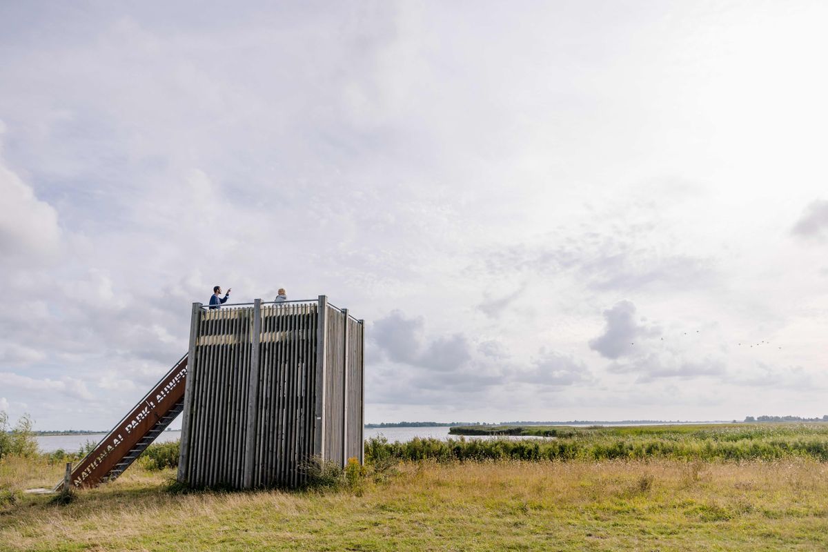 Zó mooi is Groningen: de 3 meest betoverende natuurgebieden op een rij
