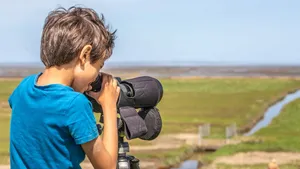 Waddenfestival