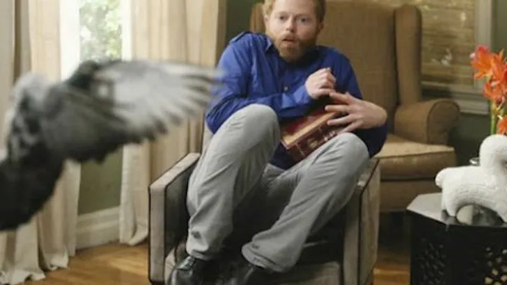 bang voor vogels