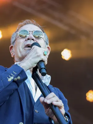 Rob de Nijs