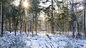 Siberië