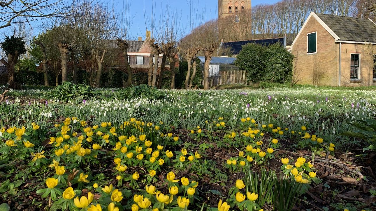 8 Februari Open Tuin Bij Stinze Stiens Noorderland