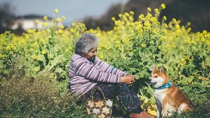 fotografie oma hond