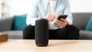 Smart speaker.
