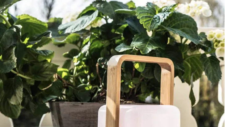 Mail en win: De Lucis Lamp Bamboo (GESLOTEN)