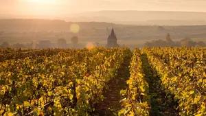 Omfietsen op z'n Frans: de Champagne 