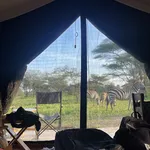 Safari