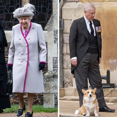 Benieuwd waar de geliefde corgi's van koningin Elizabeth nu wonen? Wij praten je helemaal bij over de recente verhuizing van Muick en Sandy.
