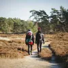 4x de mooiste winterwandelingen in Friesland, Groningen en Drenthe | Noorderland