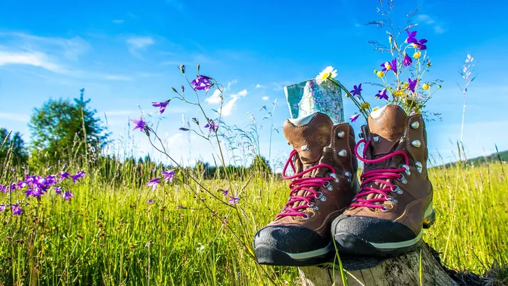 Wanderschuhe , Sommerwiese