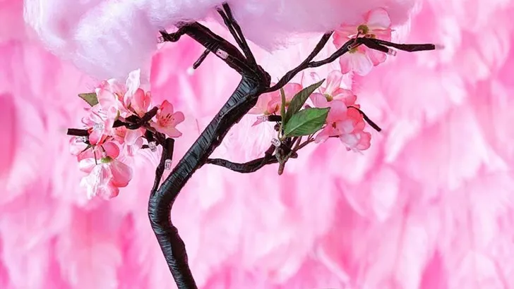 IJsprijs! Bolletje Cherry Blossom, anyone?