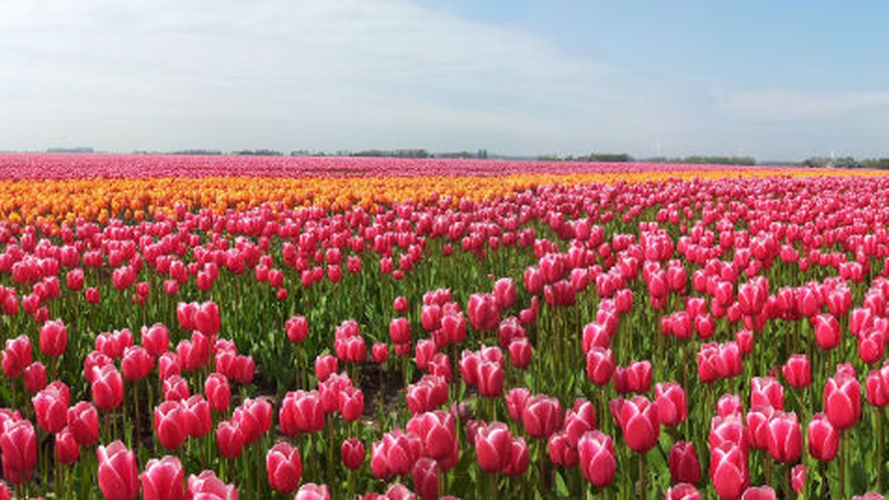 8 Leuke Lente Quotes Happy In Shape