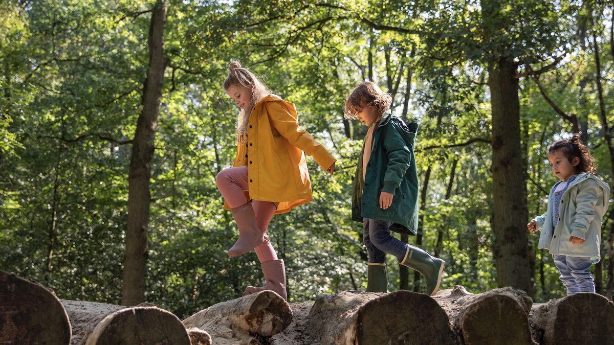 Noorderland tipt: ontdek het Belevingspad in Drenthe