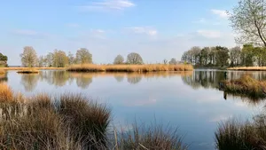 Nationaal Park Dwingelderveld