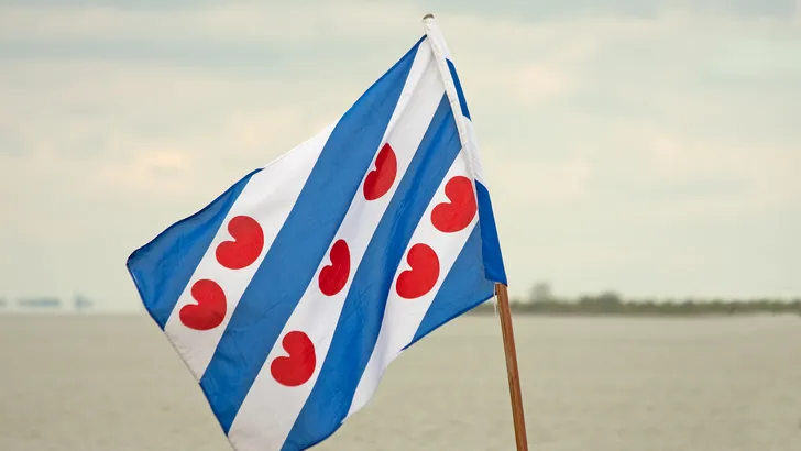 Friese vlag