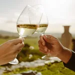 Couple toasting white wine in a vine yard