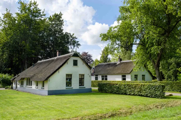 Koloniehuisjes in Frederiksoord