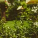 Groene vingers? Hoog tijd om tuinplanten te kopen!