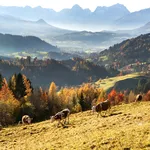 11 unieke overnachtingen in Oberösterreich