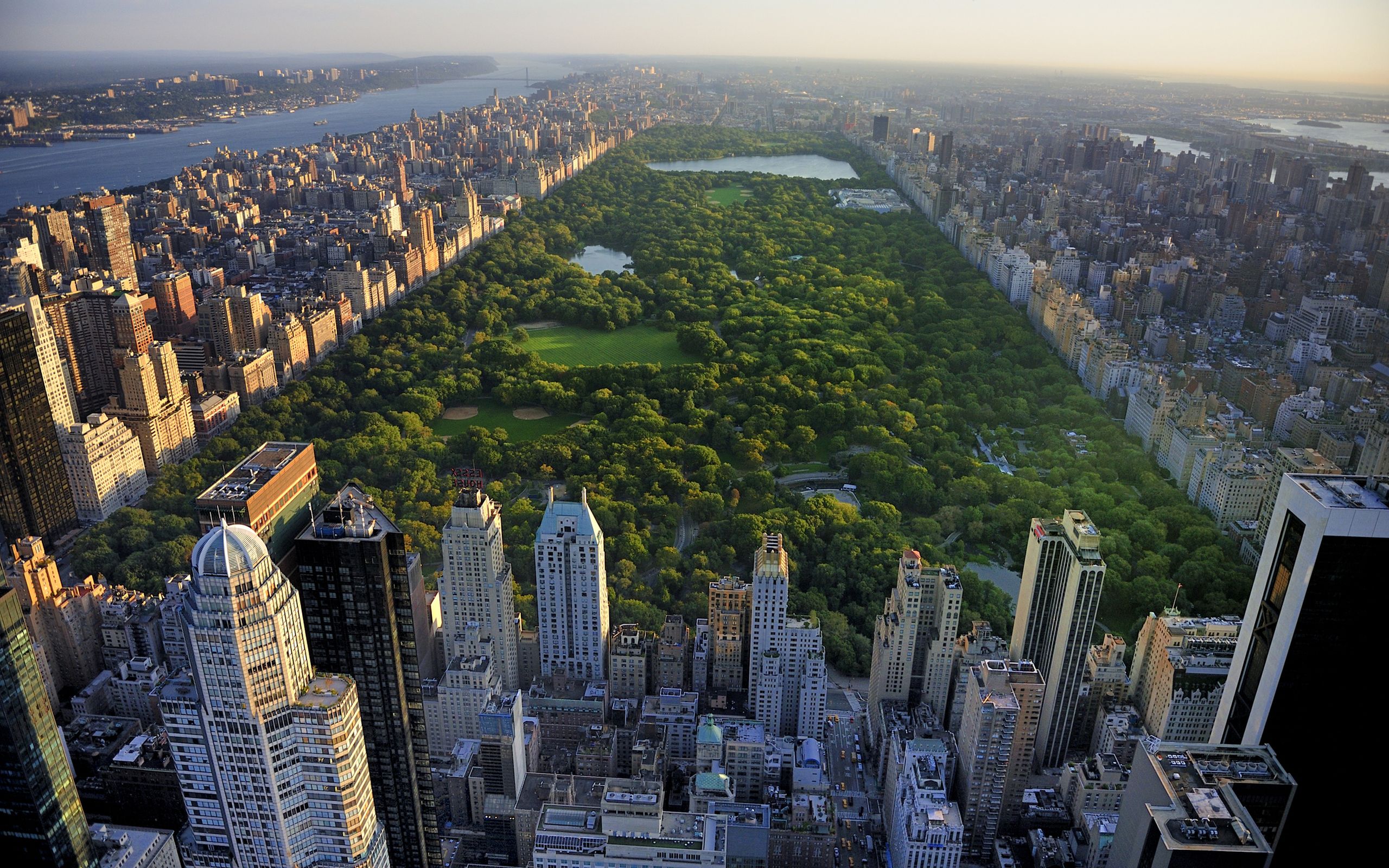 central_park-528725265-dolphinphoto_.jpg