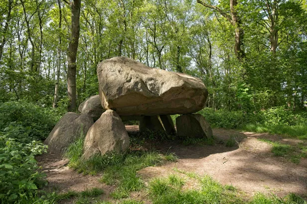 Hunebed G1 in het Noordlaarderbos in Groningen