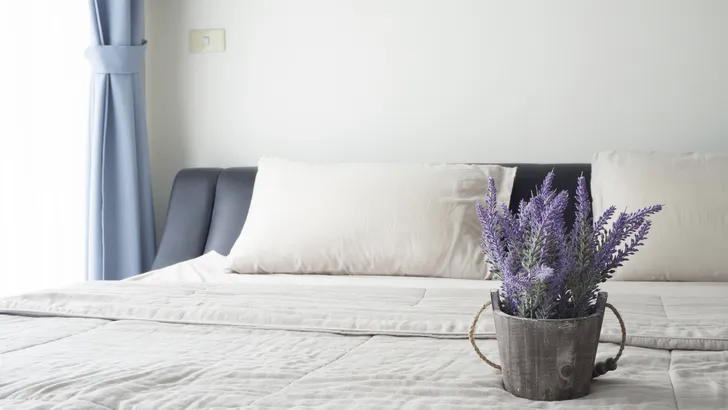6 planten die goed zijn voor je nachtrust