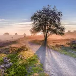 wandelingen heide