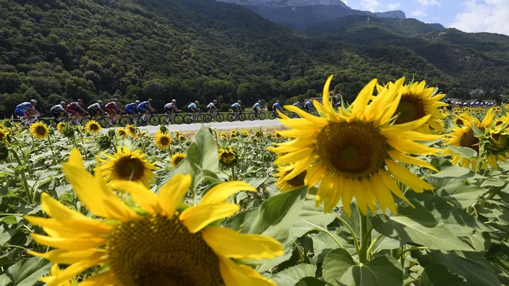 Tour de France