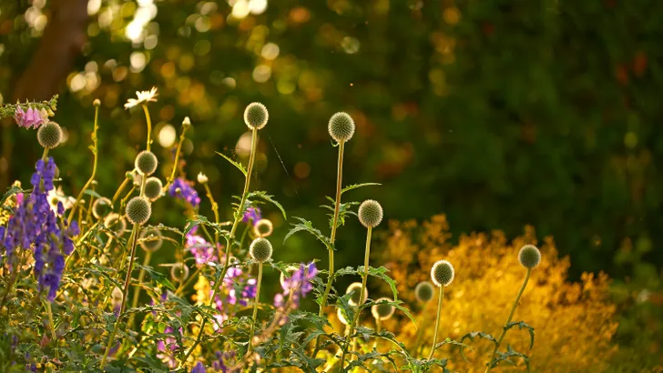 Tuin najaarsklaar