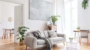Gezellige woonkamer met vloerkleed en grijze bank