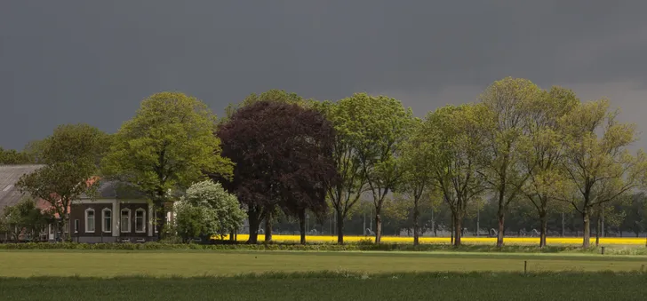 Essen in het Waddenlandschap