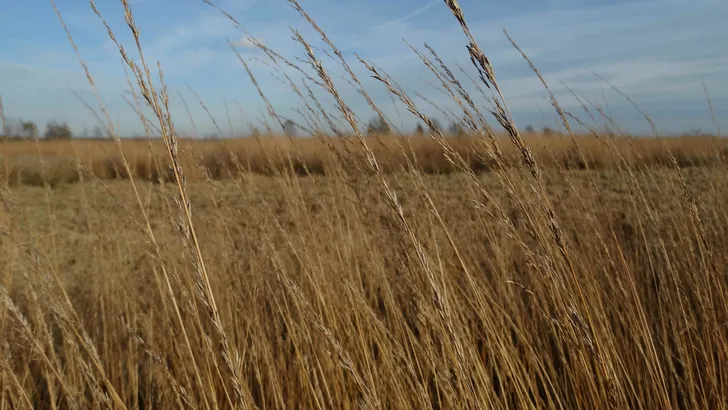 Ooststellingwerf