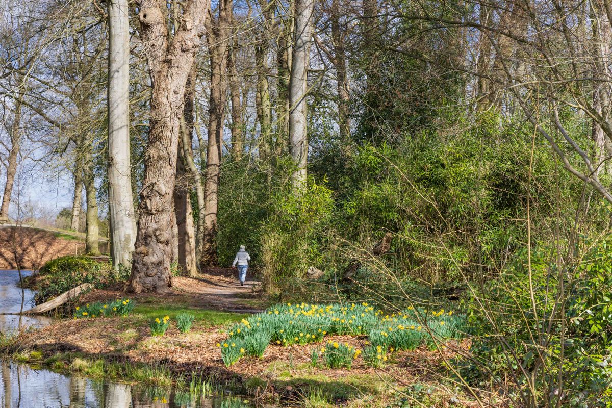 Dit Drentse sprookjesbos neemt je mee terug in de tijd: ontdek Landgoed De Braak