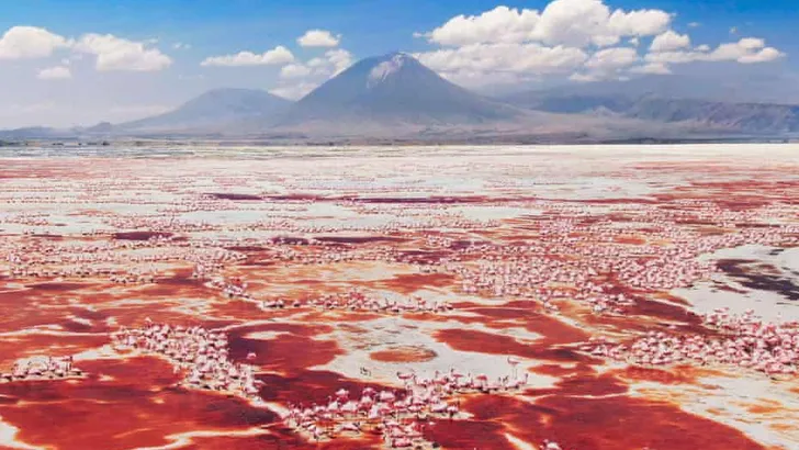 Feelgood kijktip: A Perfect Planet