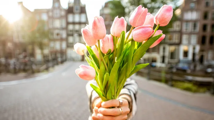 Eindelijk: er bestaat nu een cursus om je planten in leven te houden