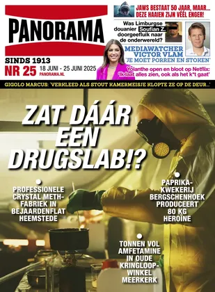 Cover Panorama: 25/2025