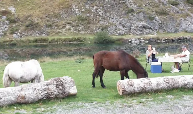 Een Frans stel zit tussen de paarden te picknicken bij Lac d'Estaing in de Pyreneeën