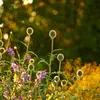 Zo maak je de tuin najaarsklaar | Noorderland