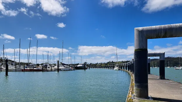 Vast aan de steiger: hoe een paar mieren ons negen dagen ophielden