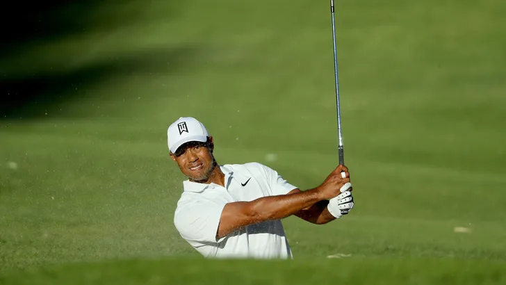 Woods