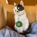 Dit treinstation was bijna failliet, tot deze kat directeur de leiding overnam