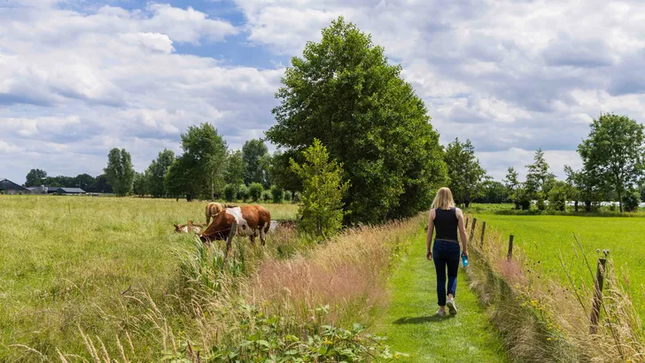 Wandeling